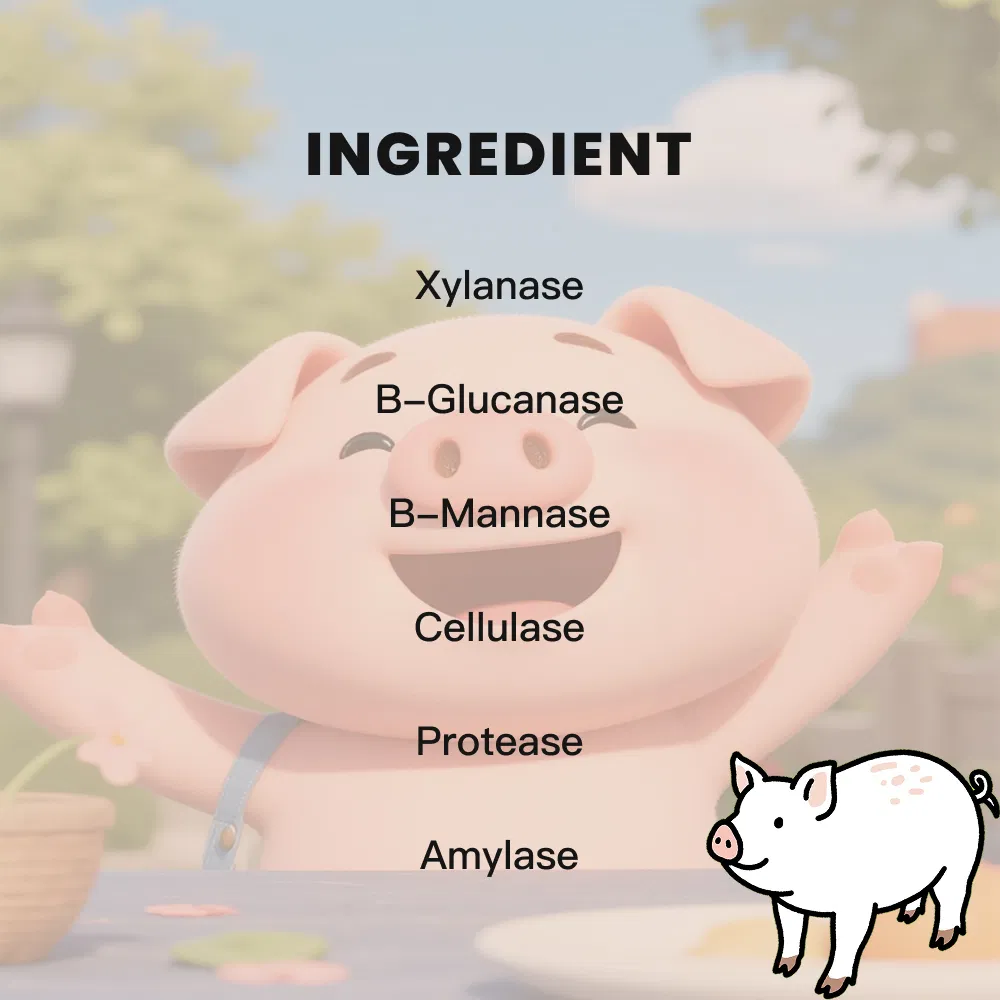 Feed Grade Swine Complex Enzyme Enhance Growth Performance and Gut Health
