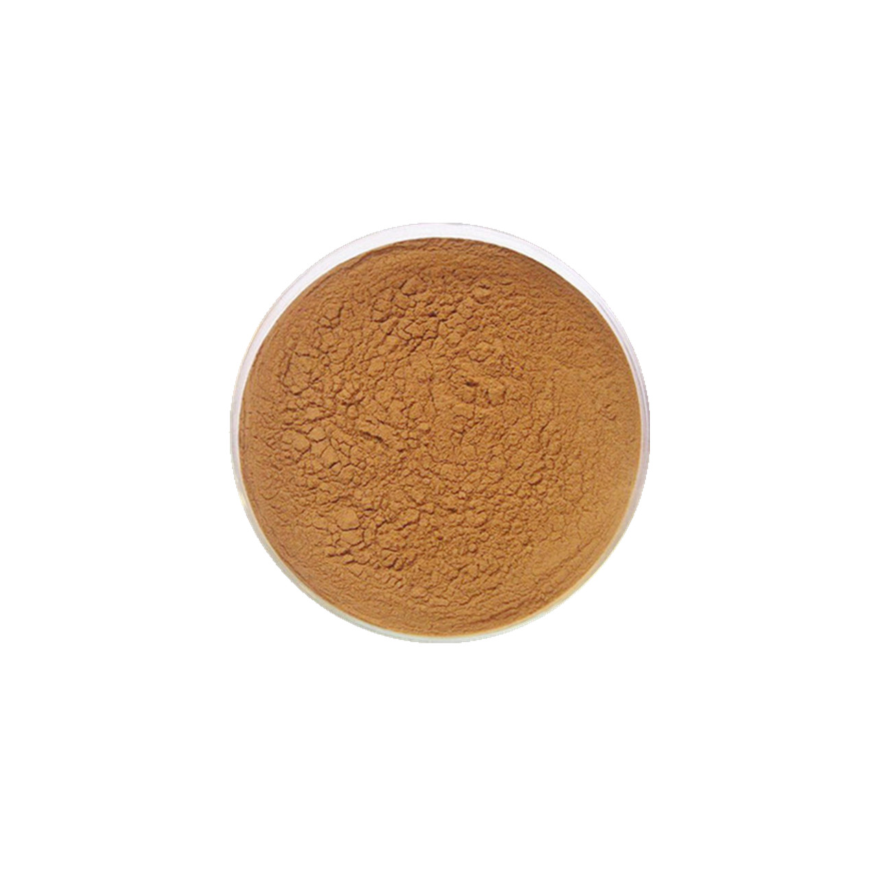 Schisandra Extract | Natural Adaptogen Herb | Liver Support &amp; Antioxidant Ingredient