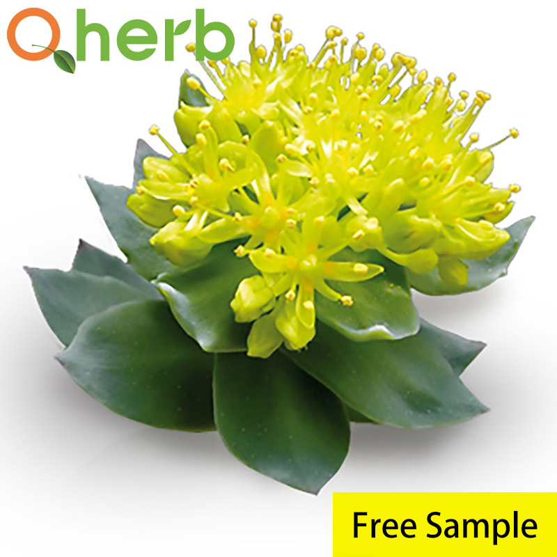 Rhodiola Extract Salidroside 3% HPLC Free Sample