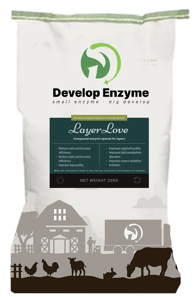 Egg Use High Standard Feed Additives Layer Enzyme for Egg Shell Gut Health