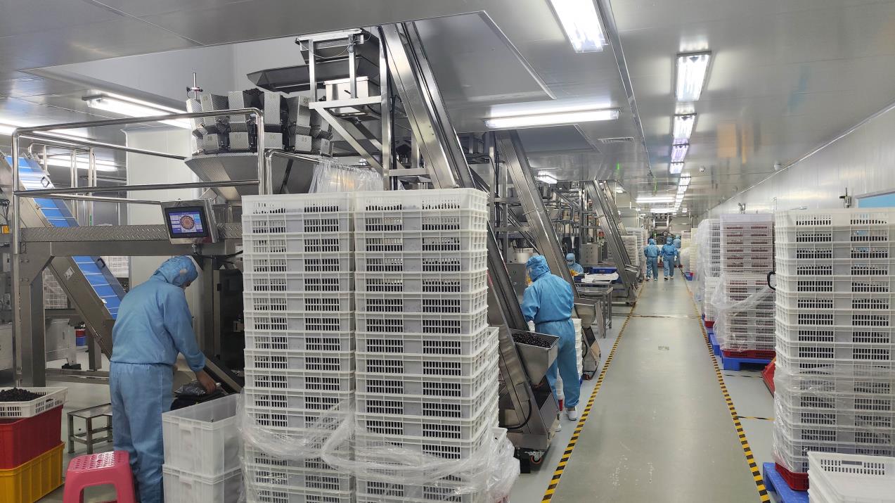 Inner Packing and Bottle Filling of Nutritional Supplements