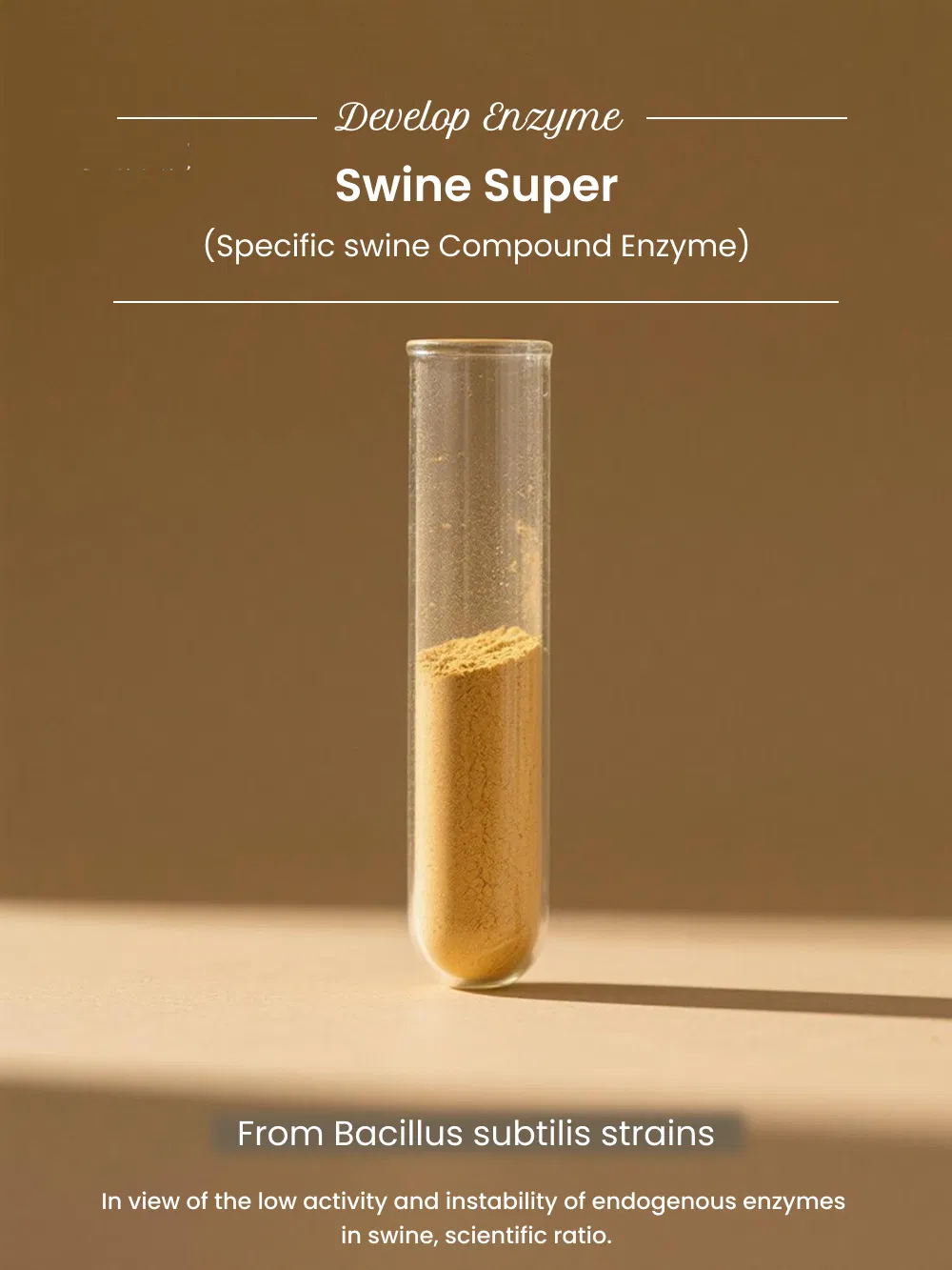 Feed Grade Swine Complex Enzyme Enhance Growth Performance and Gut Health