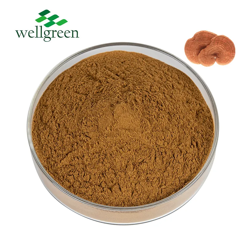 Organic Reishi Powder Product View
