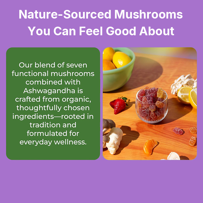 OEM/ODM Immune Defense Cognitive Enhancement Vegan Ashwagandha Gummies and Lion's Mane Mushroom Gummies Supplement