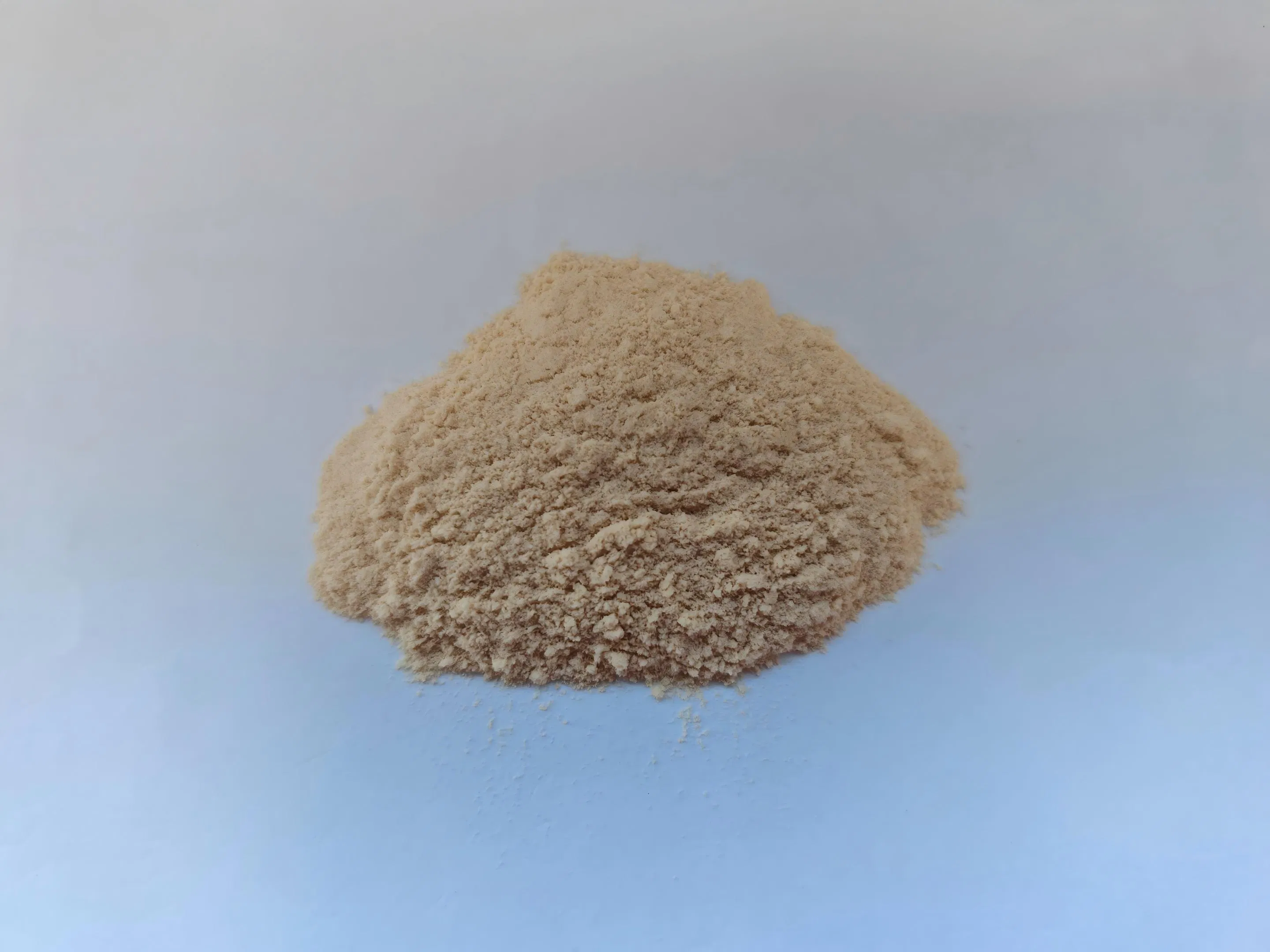 Premium Plant-Based Protein Powder with Bcaa for Recovery