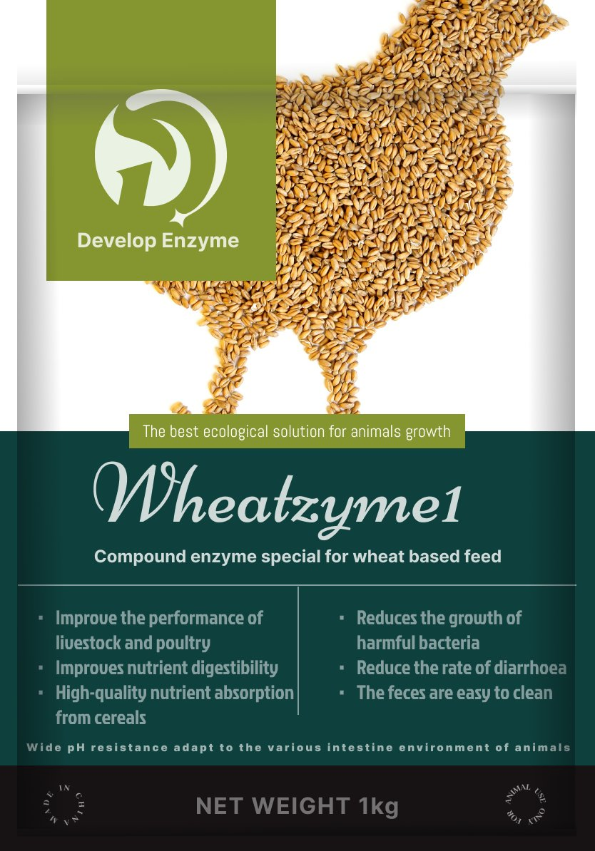 Wheatzyme, Compound Enzyme Price Gut Health Enzyme for Wheat Feed Inhibit Pathogens, Enhance Absorption, Reduce Diarrhea Customize