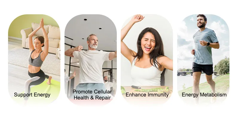 OEM/ODM Nad+ Resveratrol, Biotin Anti-Aging Gummies - Hair, Skin, Nails & Joints - Collagen Peptide