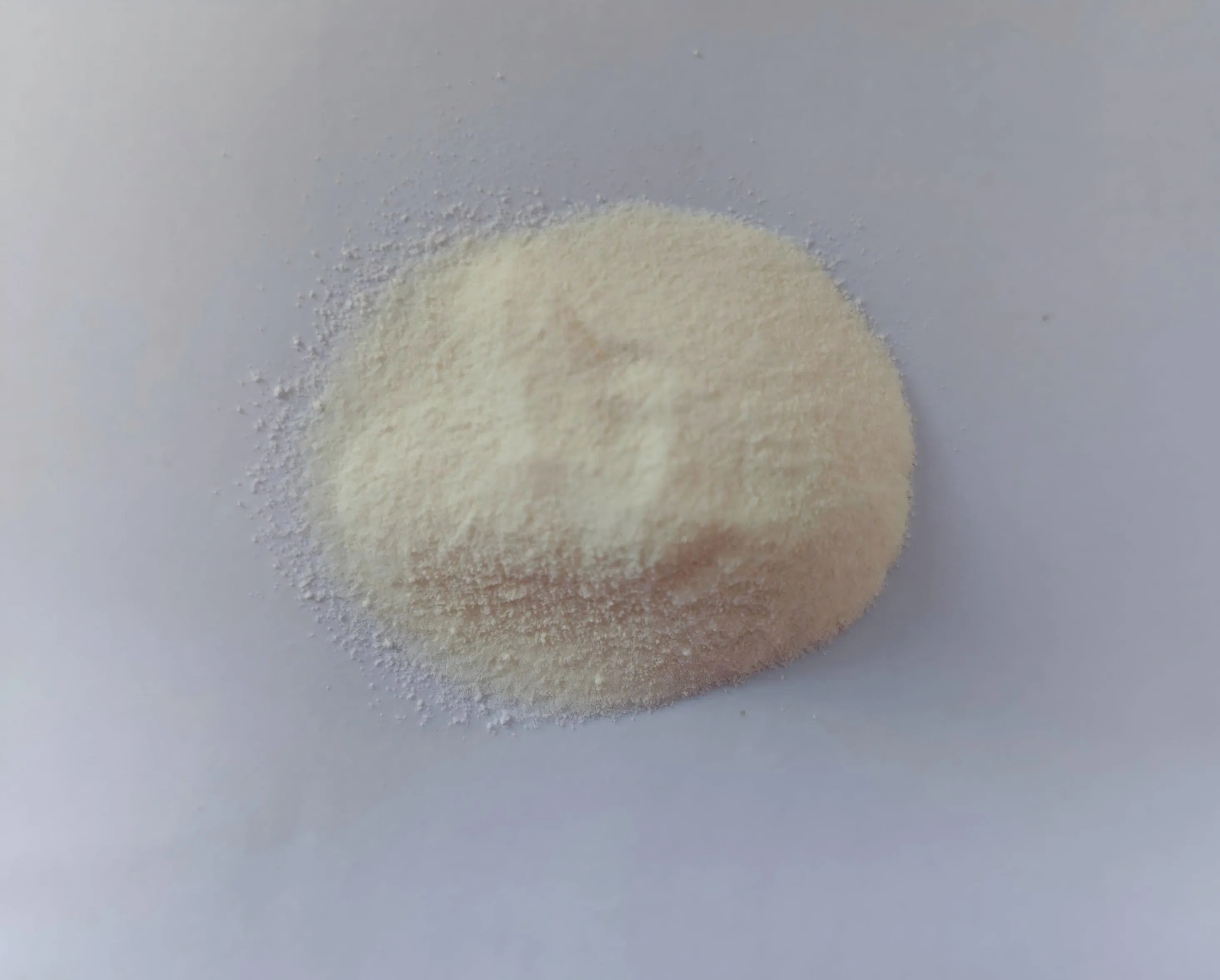 Premium Plant-Based Protein Powder with Bcaa for Recovery