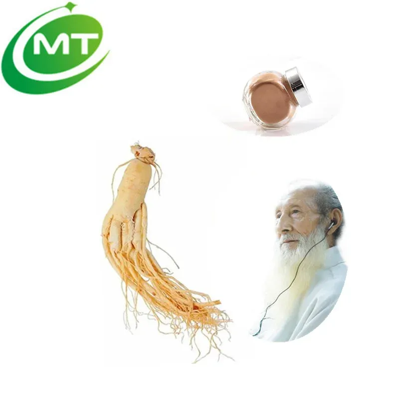 Factory Supply Pure Ginseng Extract Powder Food Grade 80% Ginsenosides Panax Ginseng Extract