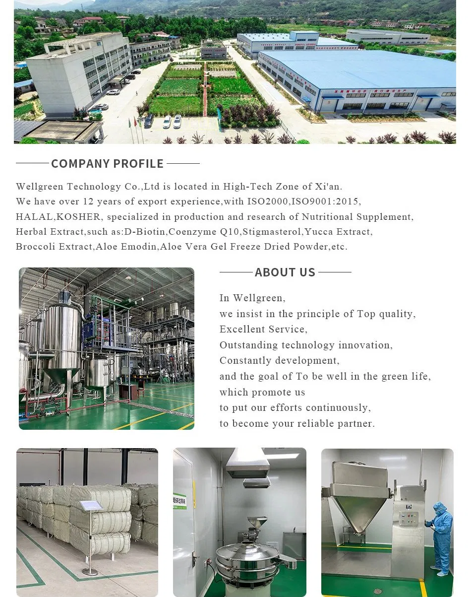 Production Facility Overview