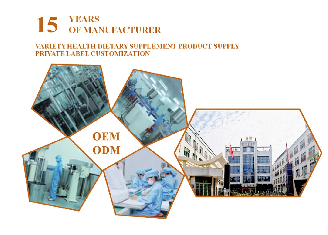 Company Facility and Production Lines