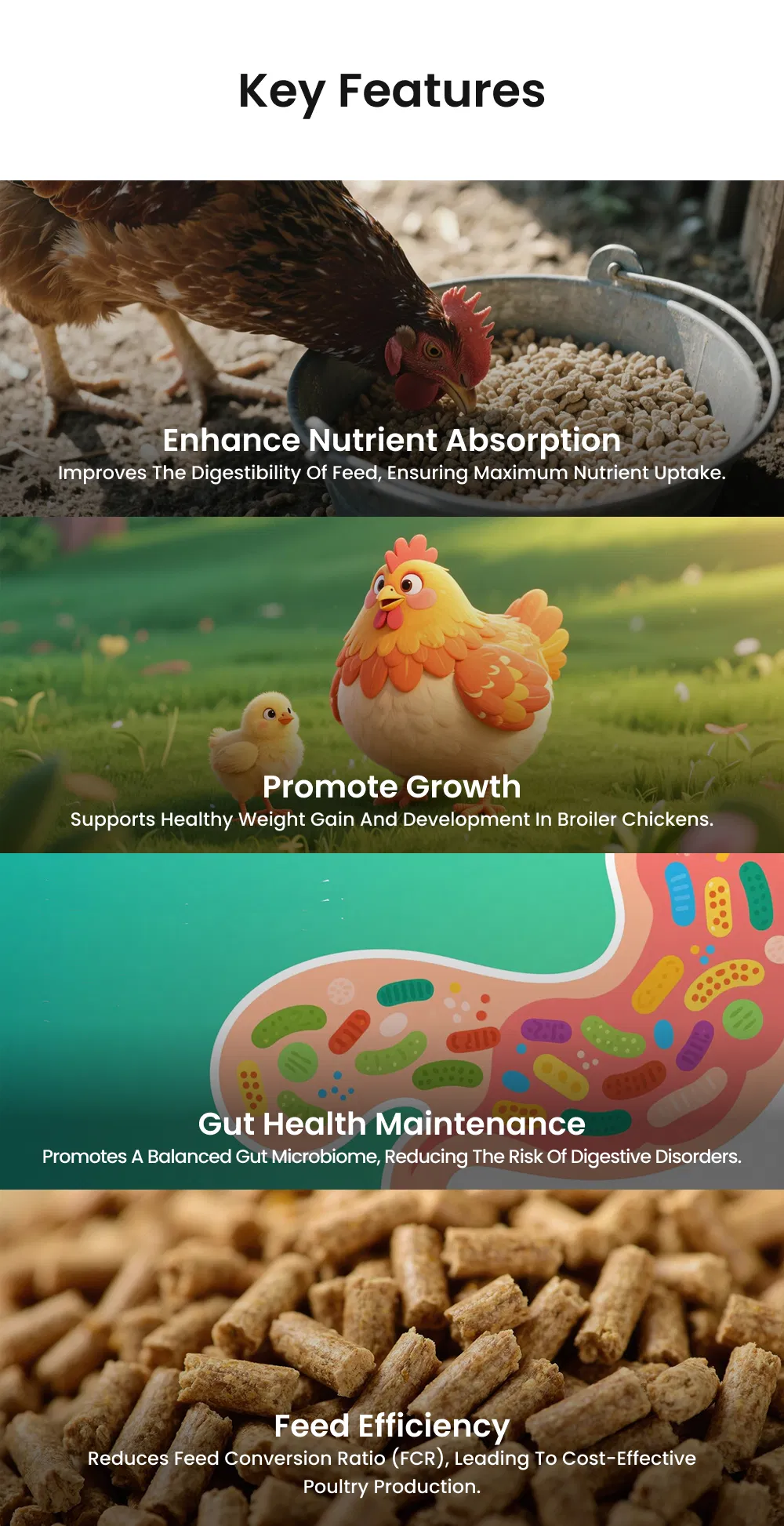 Price Broiler Love Poultry Feed Enzyme Additive - Gut Health Enhancer