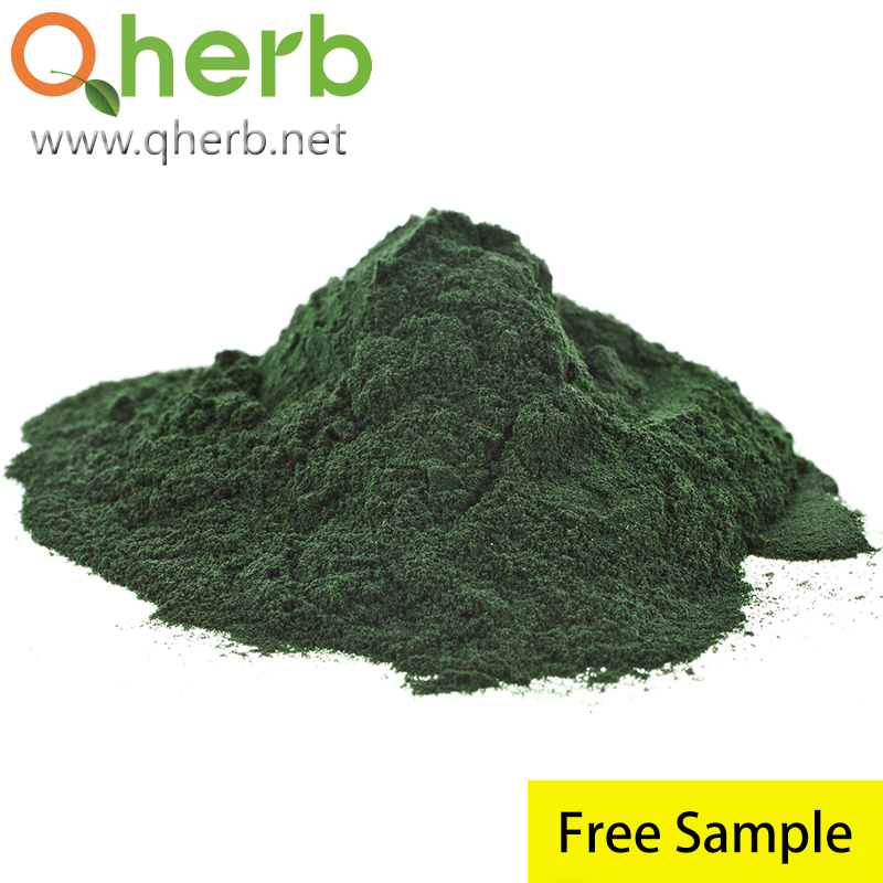 Highlight Green Color and Nutrient-Rich Superfood Protein Source Chlorella Powder