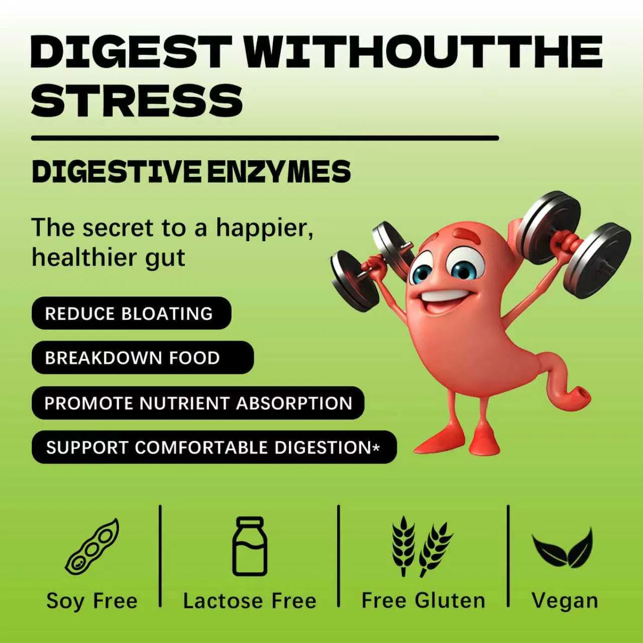 Daily Digestive Enzymes for Optimal Gut Wellness Support