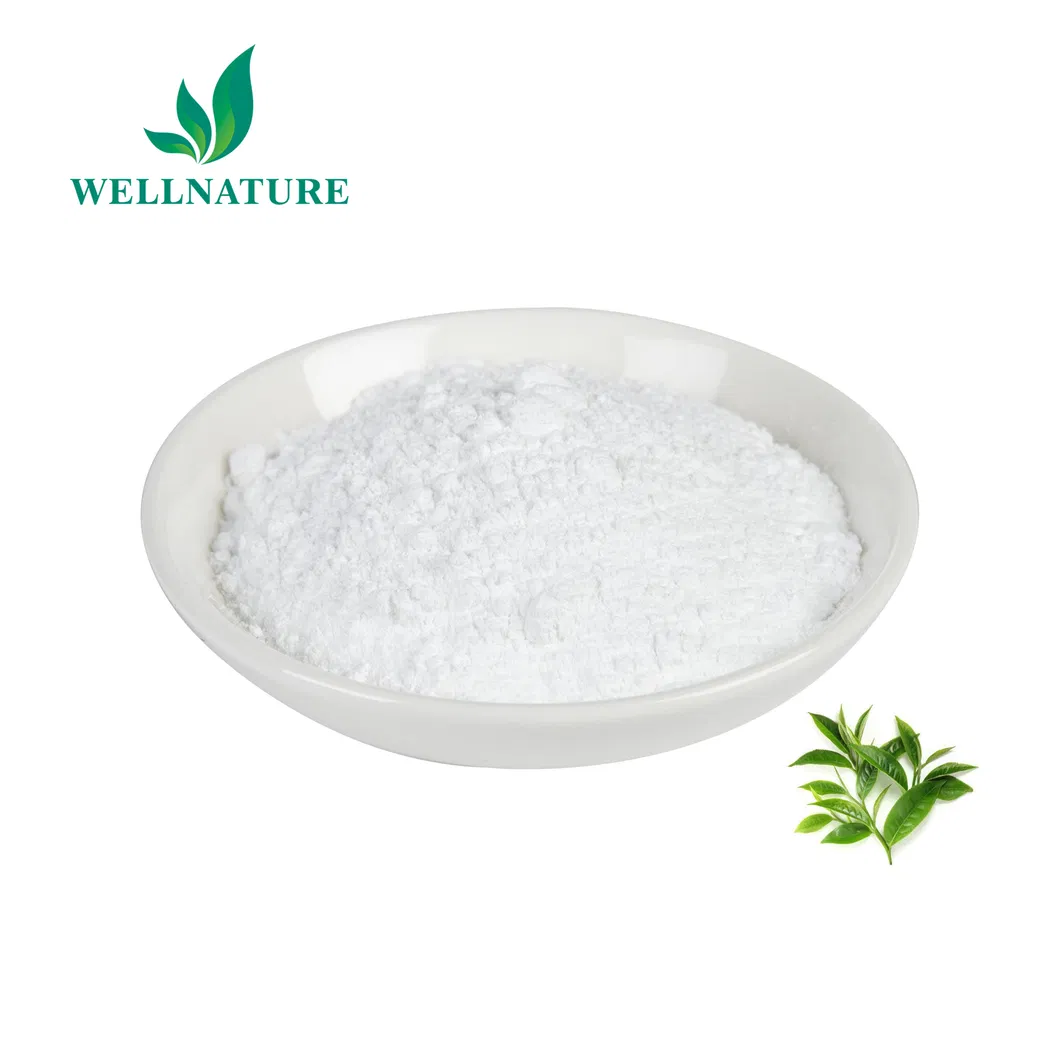 Natural Relaxation and Focus Aid for Dietary Supplements and Functional Foods (from Green Tea) L-Theanine