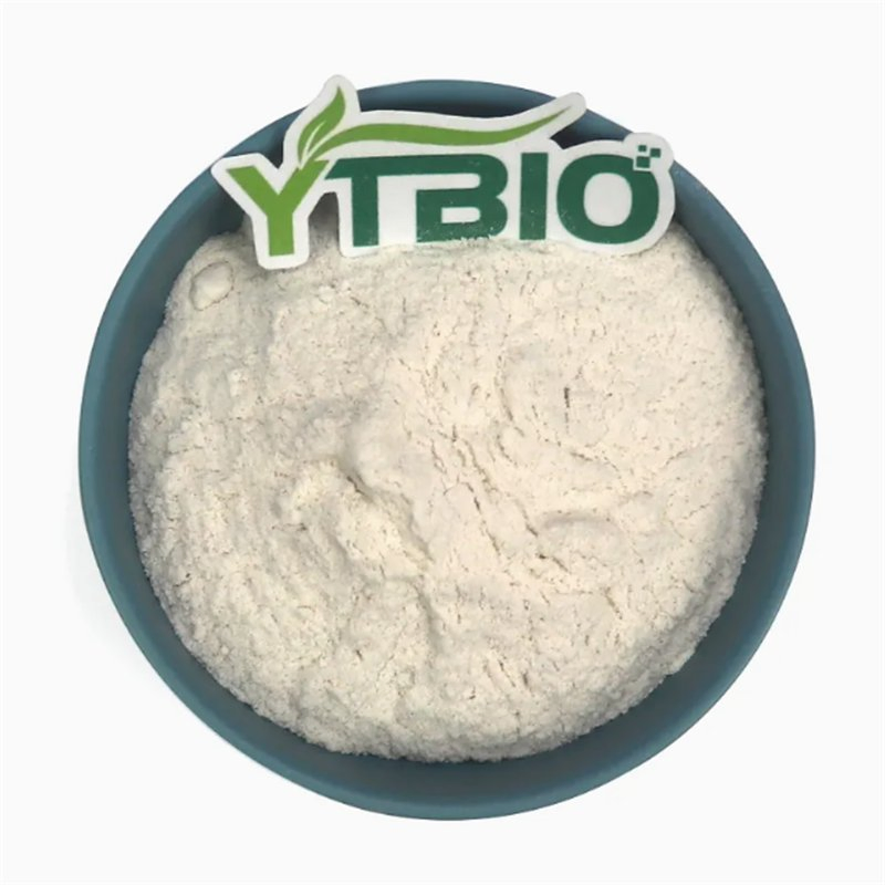 High Potency Probiotic Powder for Gut Health Weight Management Custom Formulation Available