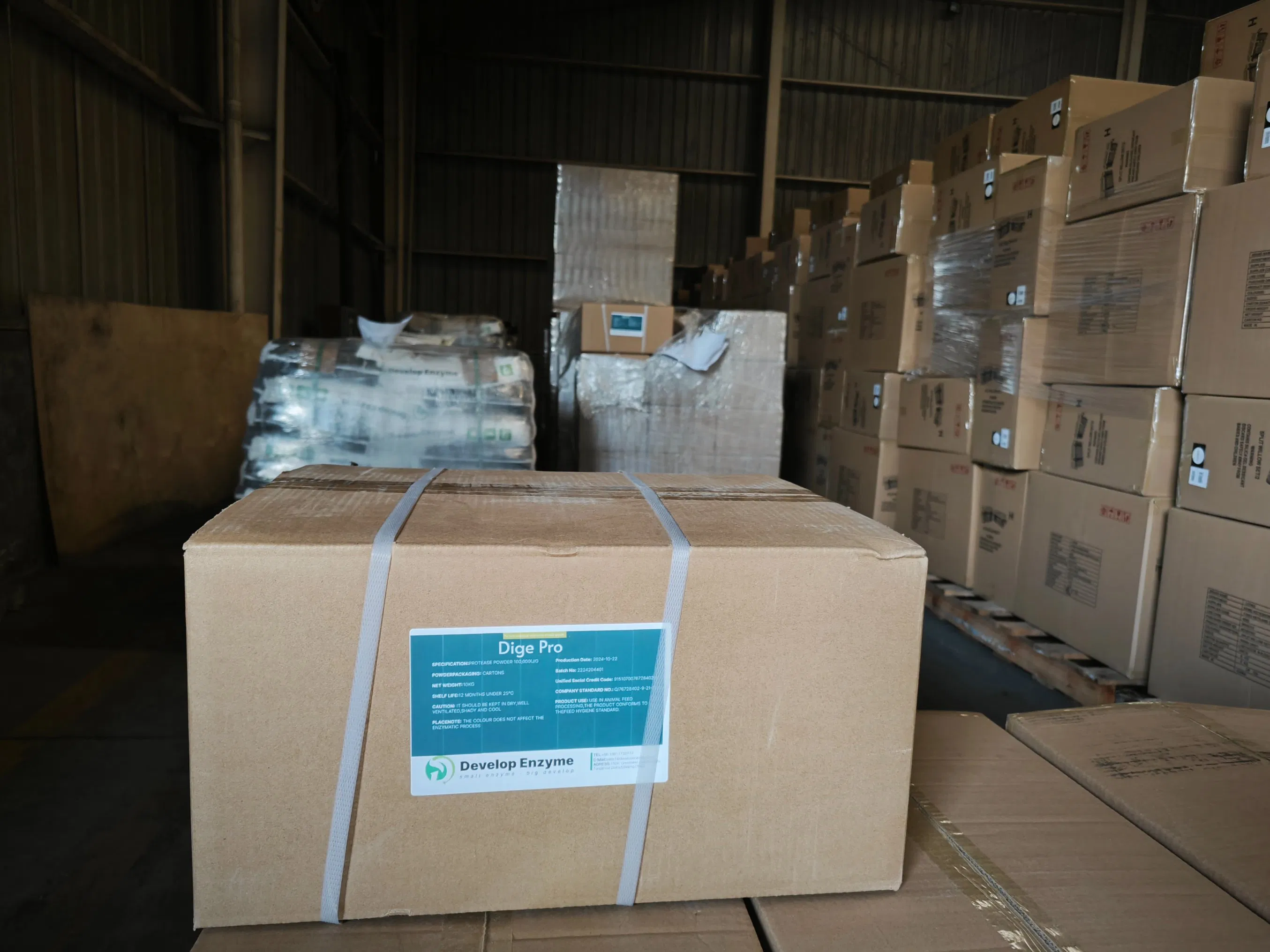 Advanced Compound Enzyme for Piglet Feed Enhance Gut Health and Growth
