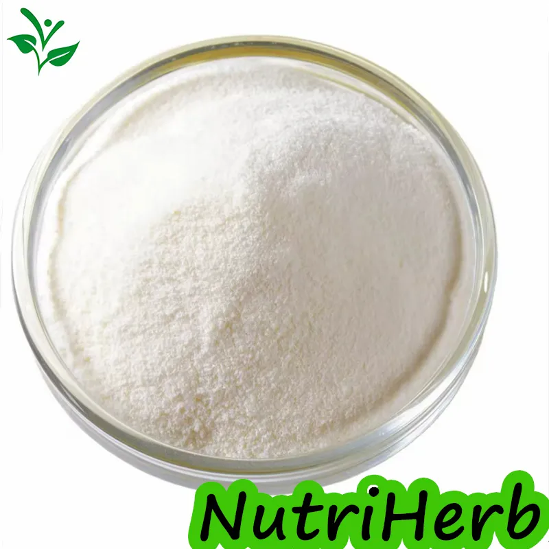 Health Supplement Cosmetic Chicken Fish Cattle 90% Protein Type II Collagen Powder