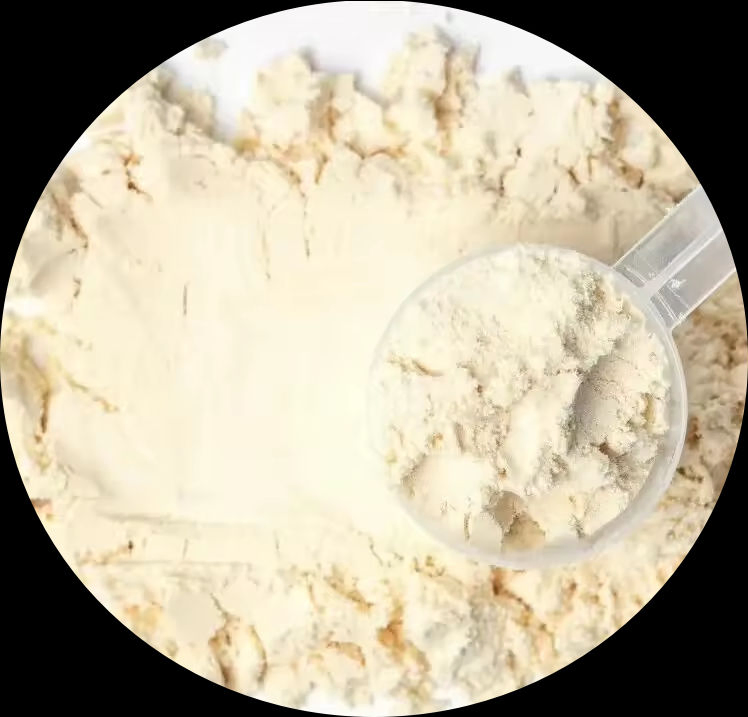 Olli OEM ODM Muscle Building Whey Protein Concentrate Powder for Athletes