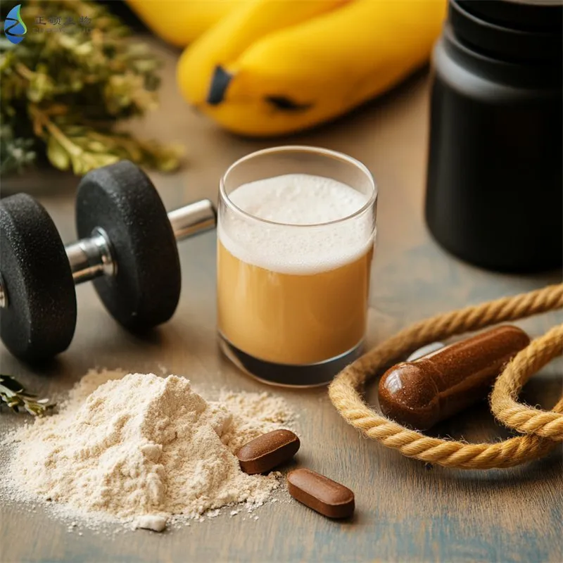 Dietary Phosphatidylserine Supplement for Improved Cognitive Function and Focus