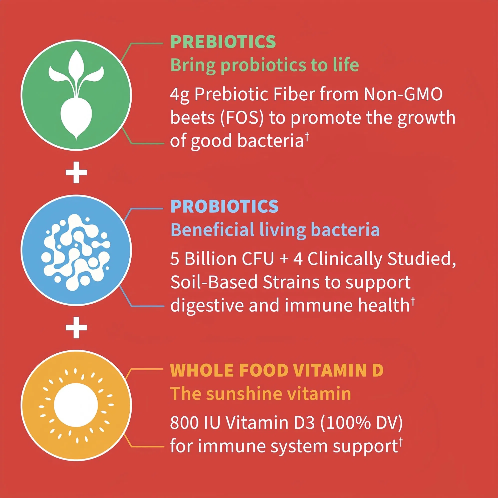 5 Billion Cfu Prebiotic Fiber, Probiotic and Vitamin D3 Gummies for Kids Digestive