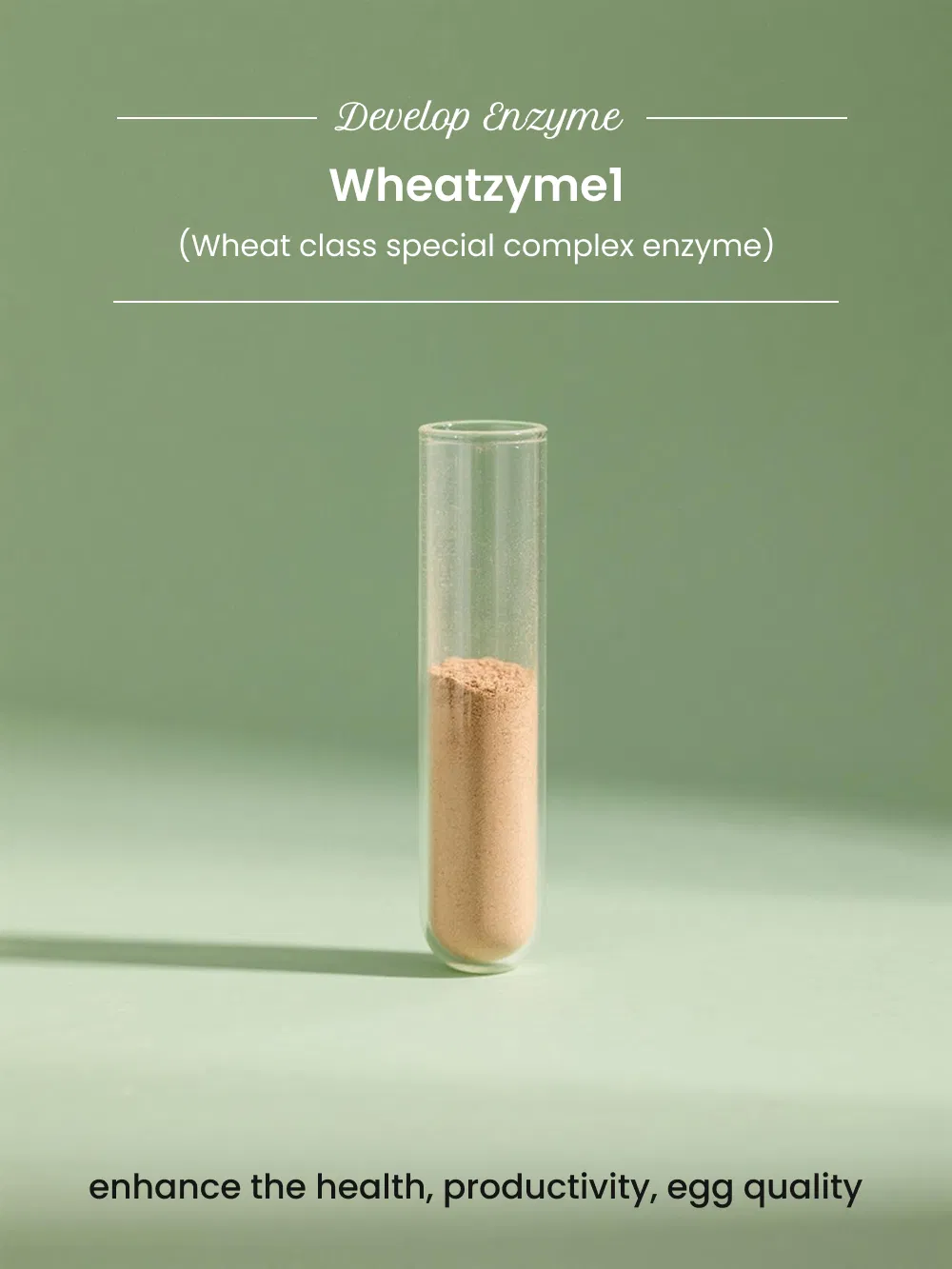 Feed Grade Wheat Enzyme Blend Enhance Growth and Gut Health in Poultry