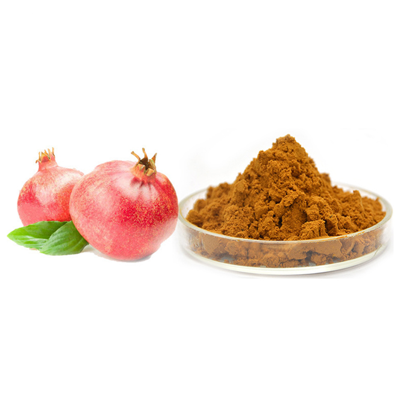 Premium Grade Natural Pomegranate Peel Extract with High Antioxidant Content for Skin Care Formulations
