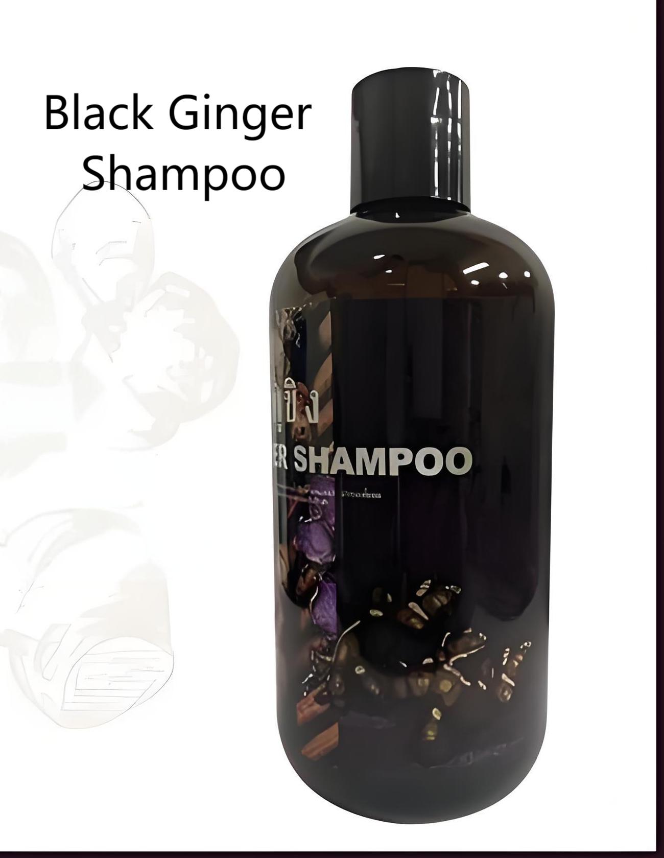 Natural Black Ginger Extract Powder Herbal Supplement NON GMO High Gingerols Antioxidant Rich for Health Benefits