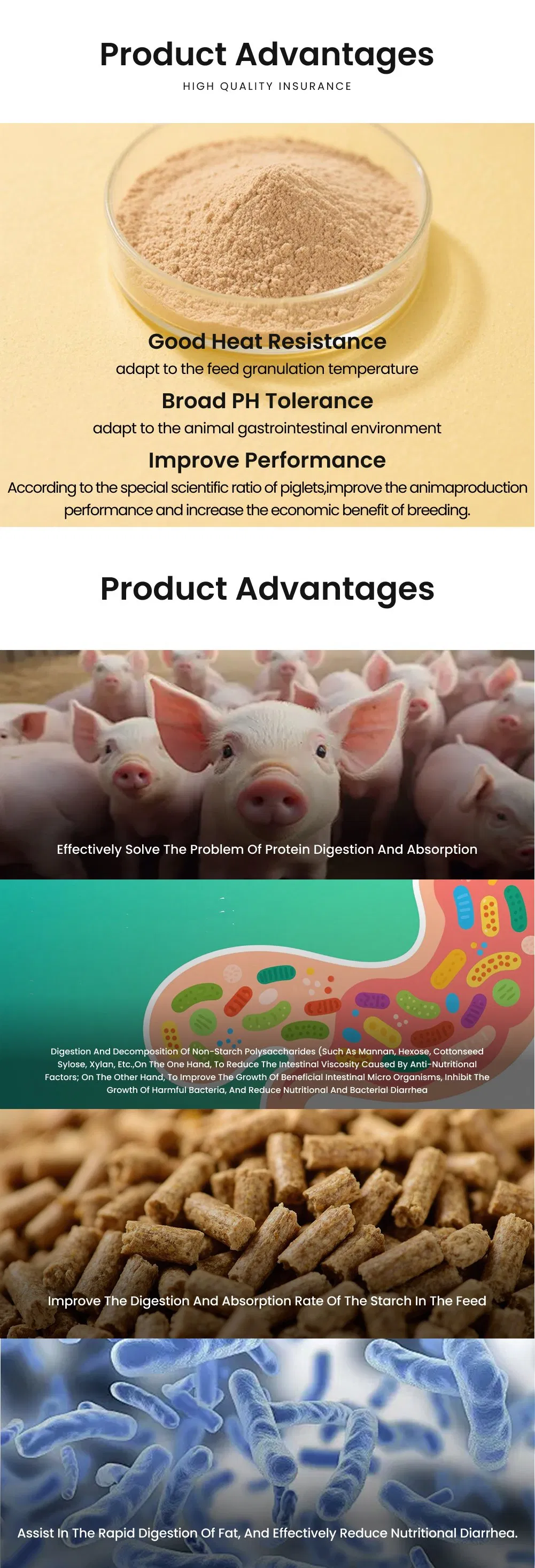 Price Piglet Compound Enzyme Promote Gut Health and Weight Gain