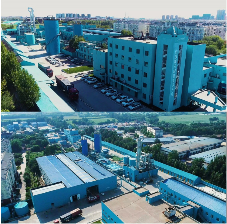 Factory Image 1