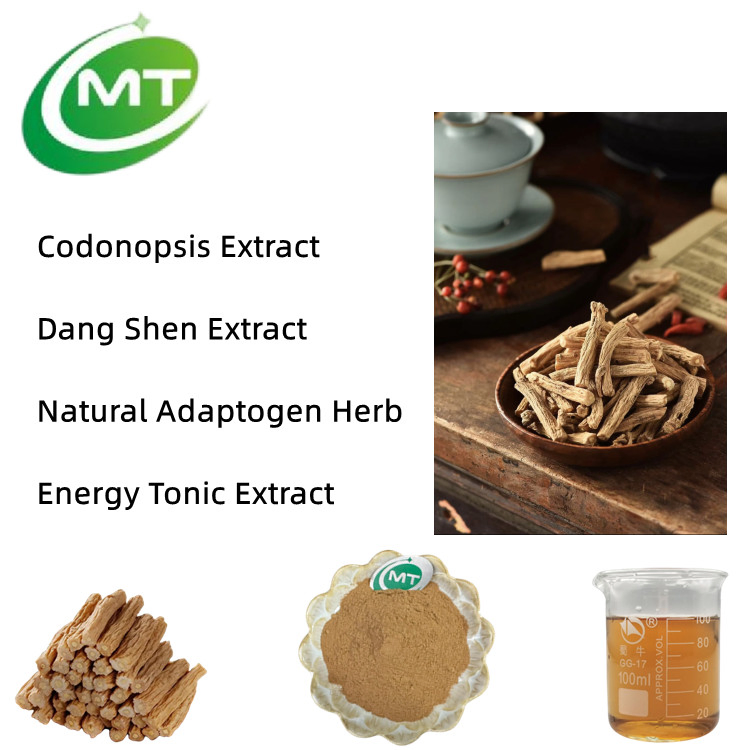 Factory Directly Supply Natural Traditional Chinese Herb Energy Tonic Extract Dang Shen Extract Codonopsis Extract