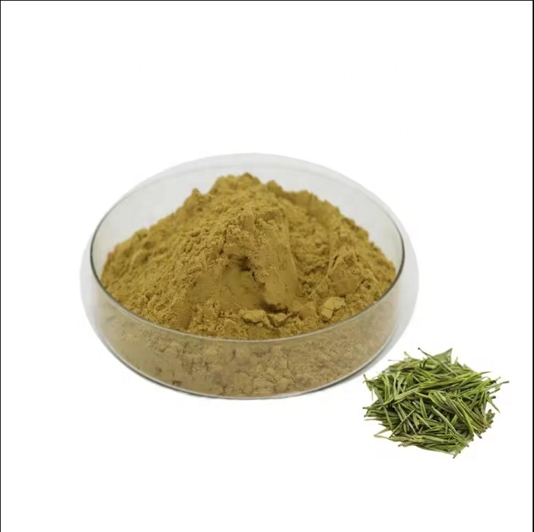 Camellia Sinensis Green Tea Leaf Extract for Antioxidant Rich Health Supplements and Skincare Product Formulations