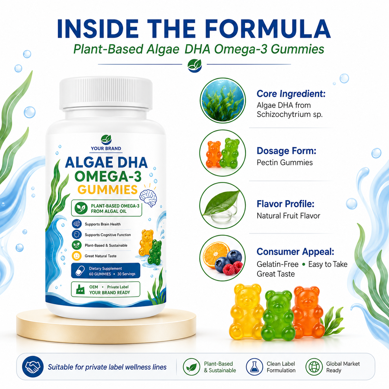 OEM Omega-3 Algae Oil Gummies Heart Brain & Eye Health Non GMO Vegan Omega-3 Algae Oil Algae DHA Omega-3 Gummies