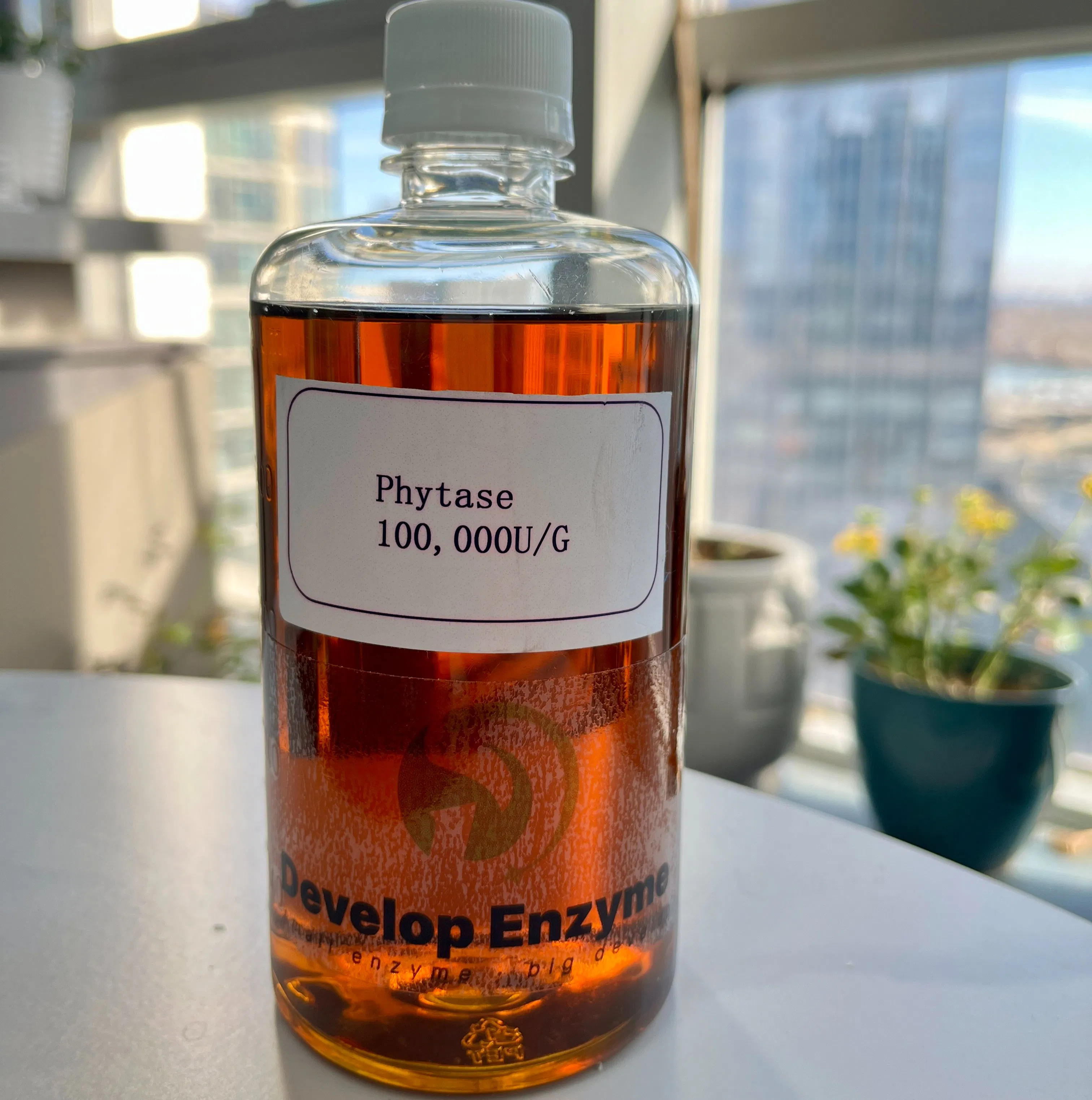 Liquid Form