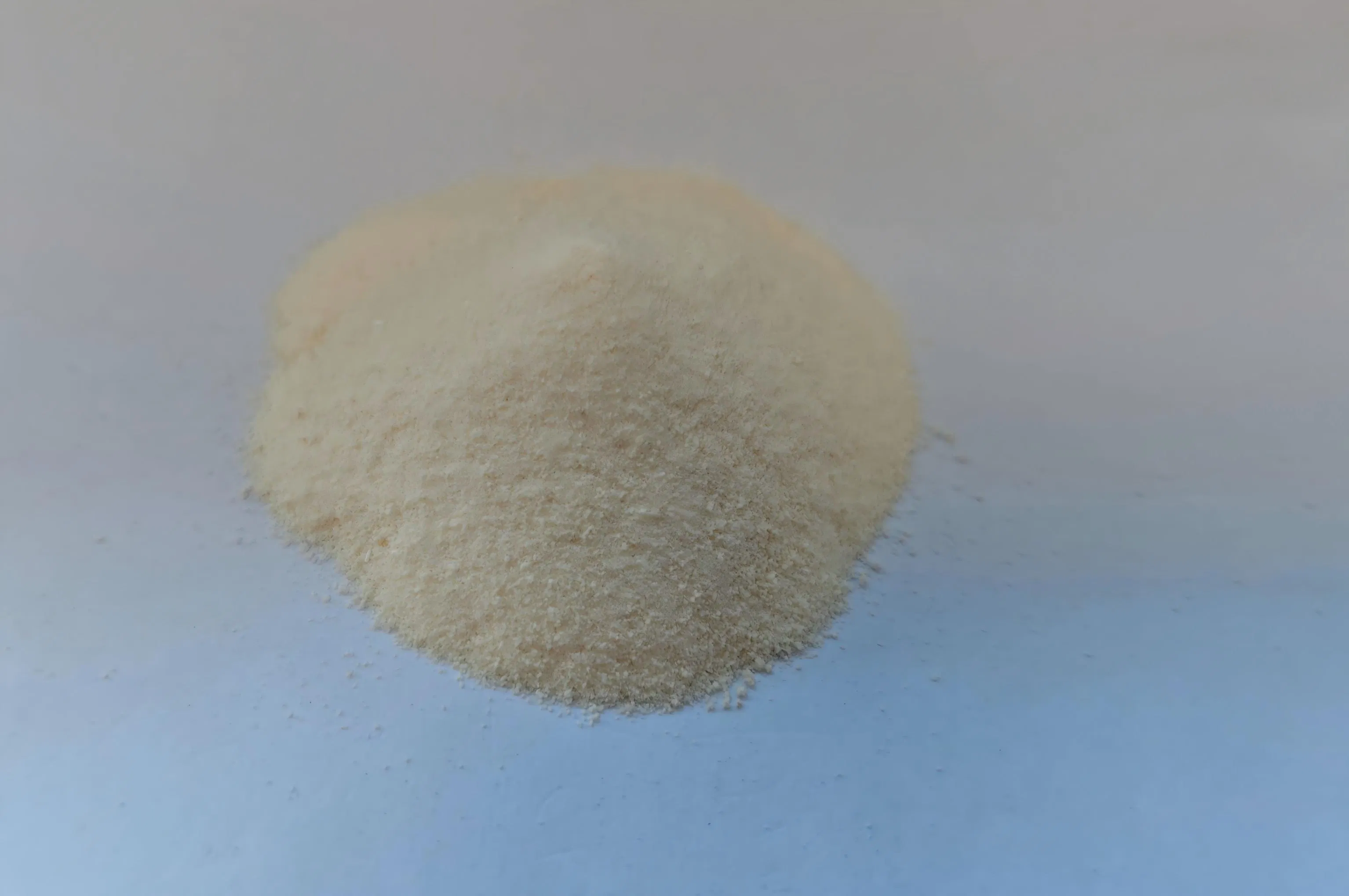 Premium Plant-Based Protein Powder with Bcaa for Recovery