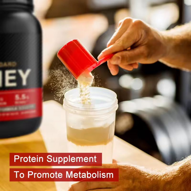 Ooli Wholesale Price OEM Custom Private Label High Protein Sports Supplements Whey Protein Powder