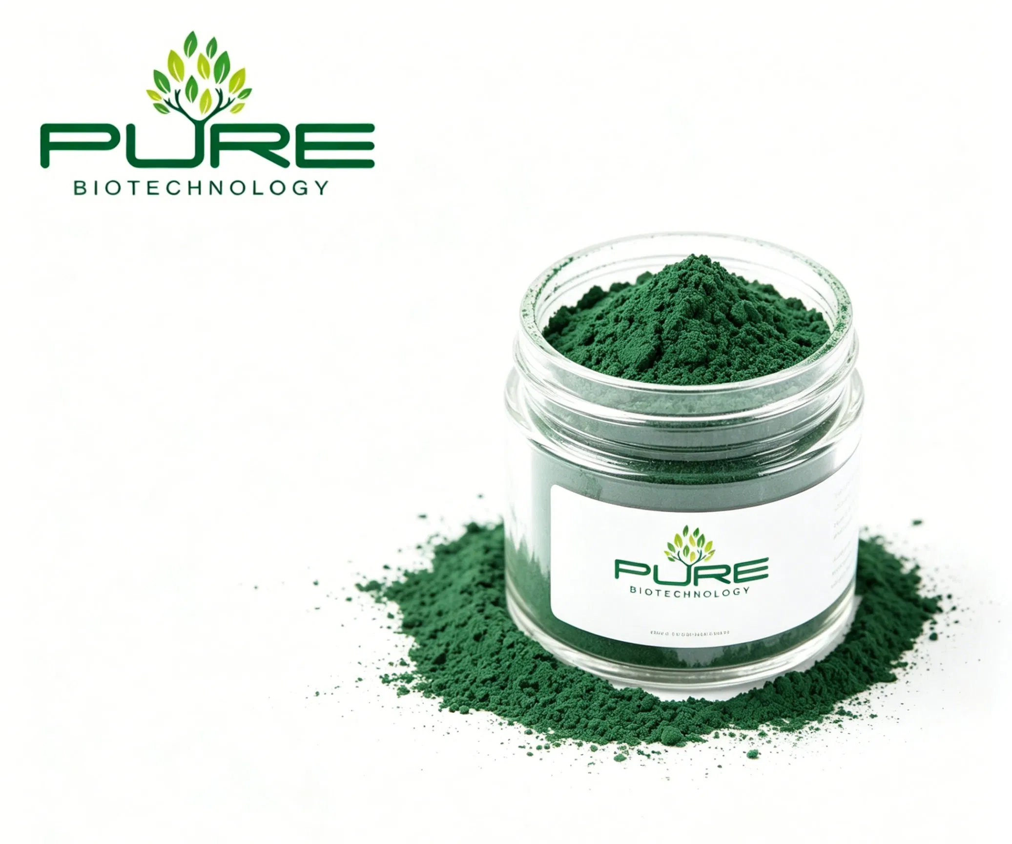 Hot Sale Certified Organic Blue-Green Algae Superfood Spirulina Platensis Powder
