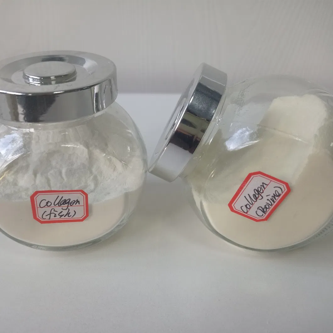 Sports Research Bovine Collagen Peptides Hydrolyzed Type I and Type III Unflavored Vital Proteins Collagen Peptides Powder