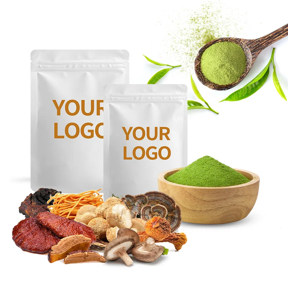 Mushroom Extract Powder 1