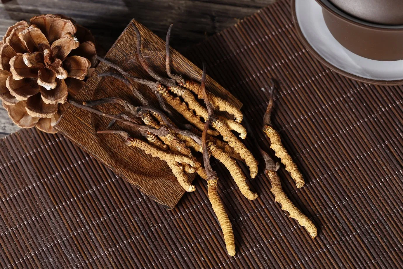 Plant Extract Chinese Cordyceps Mushroom Powder Organic Improve Immune System