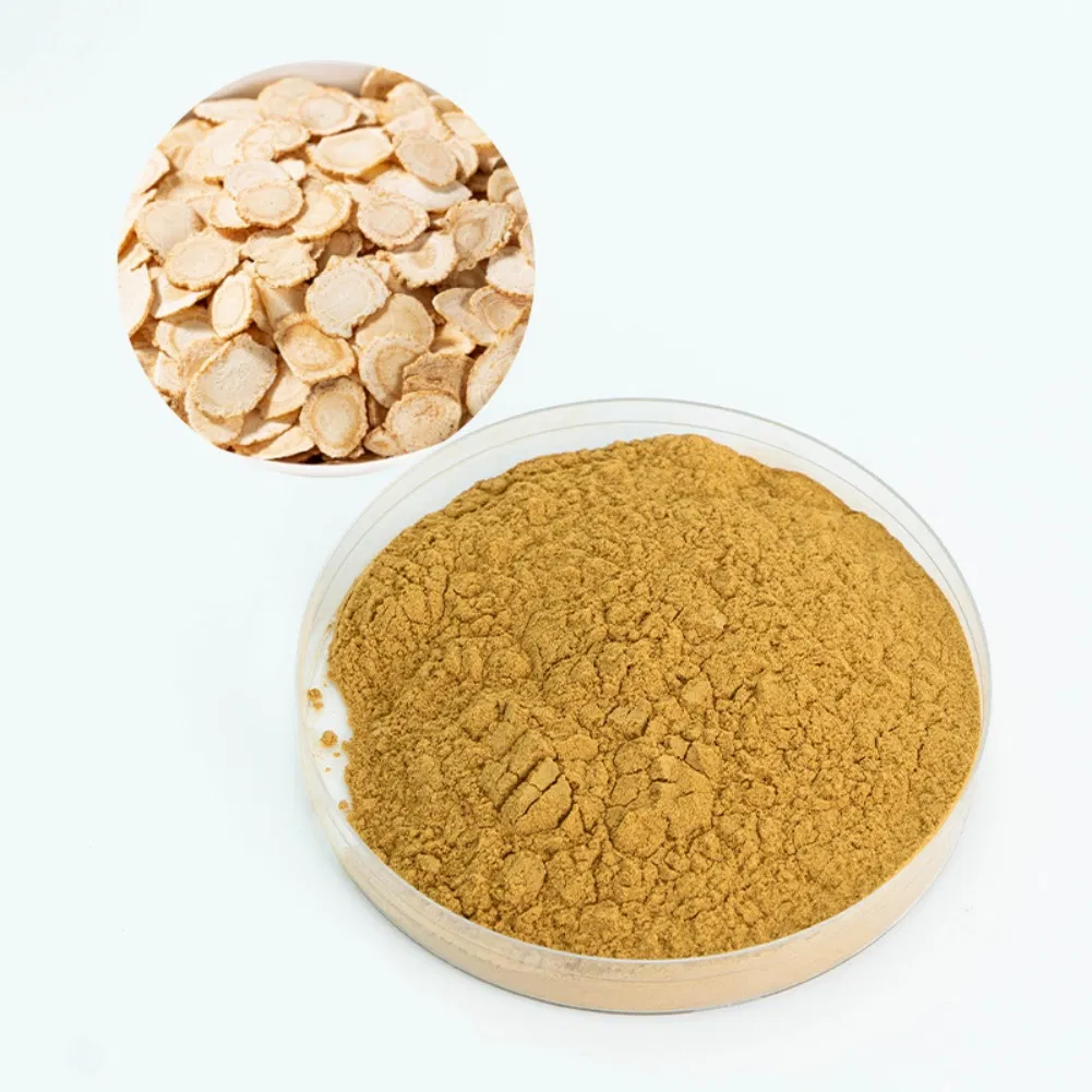 Traditional Chinese Medicine Astragalus Root Extract Powder for Reducing Inflammation