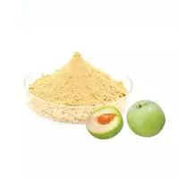 World Well-Being Plant Extract/Water Soluble/Green Plum Fruit Juice Powder/Greengage Juice Powder/100% Natural Greengage Powder