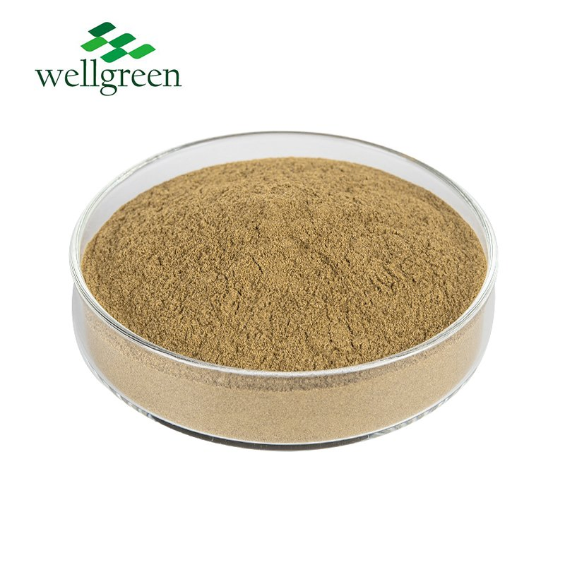 High Quality Organic Oregano Leaf Extract 10: 1 Plant Extract Oregano Extract Powder