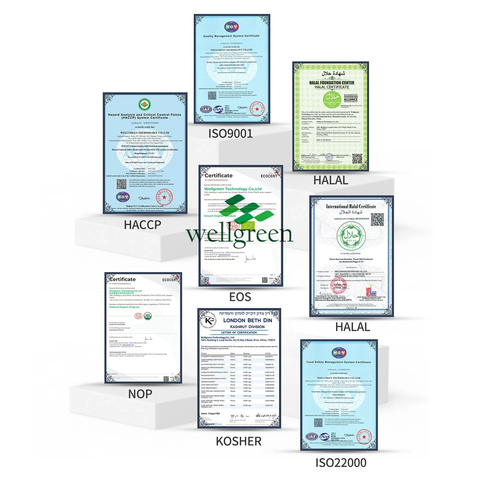 Wellgreen Free Sample Shitake Mushroom Powder Health Products Shitake Mushroom Extract Powder