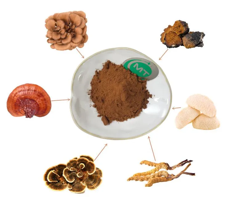 Mushroom Extract Detail 2