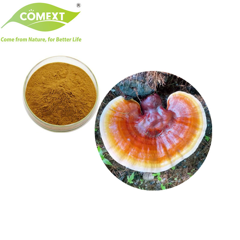 Comext Factory 100% Natural Organic Reishi Mushroom Herbal Powder Ganoderma Plant Extract