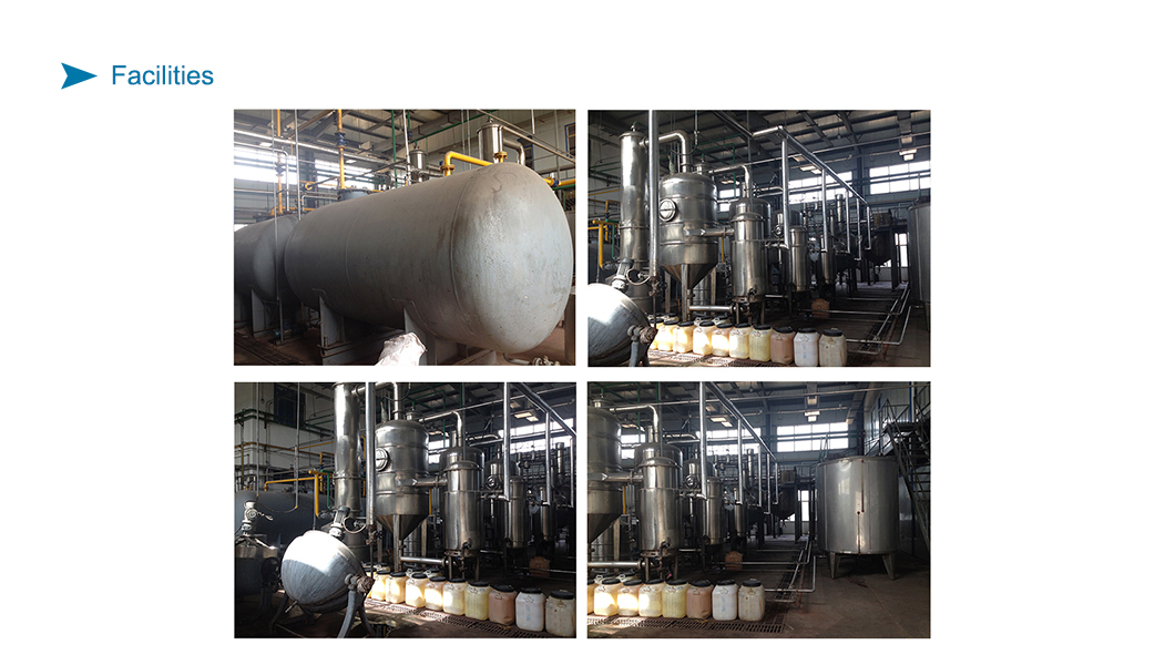 Manufacturer of High Quality Instant Jasmine Tea Powder Bulk