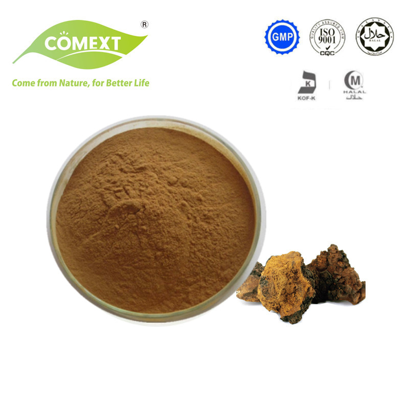 Comext Free Sample Chinese Traditional Medicine ISO Fssc Supplier 10: 1 Plant Inonotus Obliquus Powder Chaga Mushroom Extract