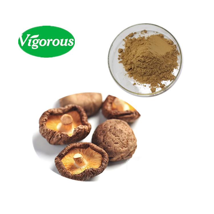 Pure Natural Shiitake Mushroom Extract Powder