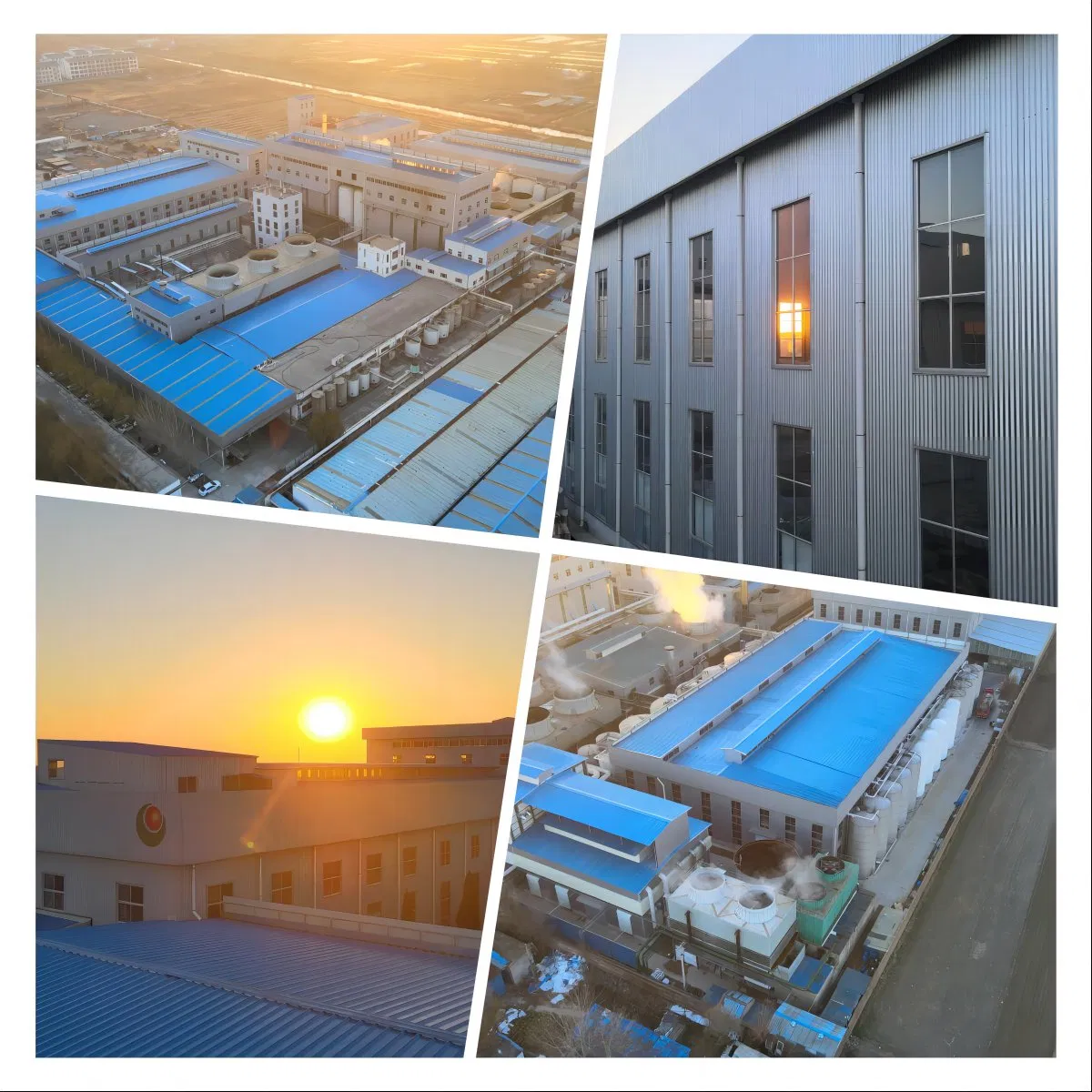 Erythritol CAS 149-32-6 Food Additives on Food and Beverages Sweeteners